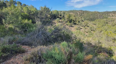 Suelo agrícola en venta en Benifallet