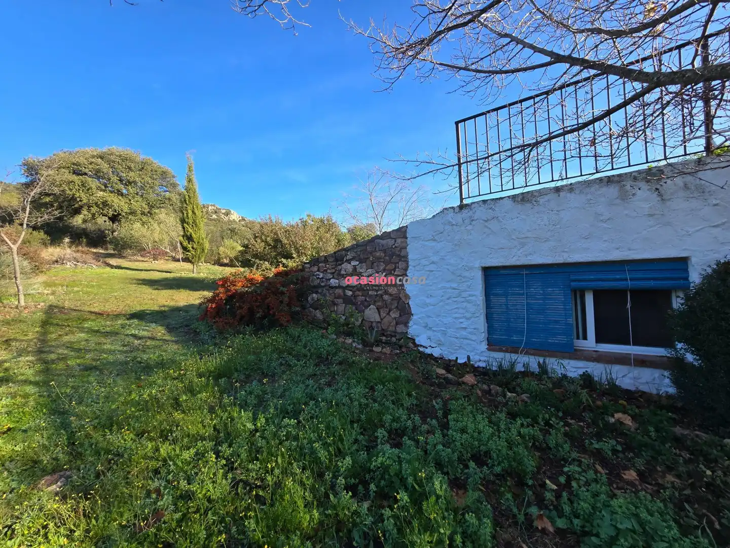 Jardín de Casa o chalet en venta en Santa Eufemia