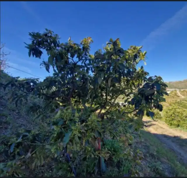 Terreno rustico in vendita a Plaza Andalucia, imagen 6