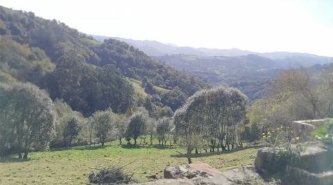 Foto 4 de Piso en venta en Piloña, Asturias