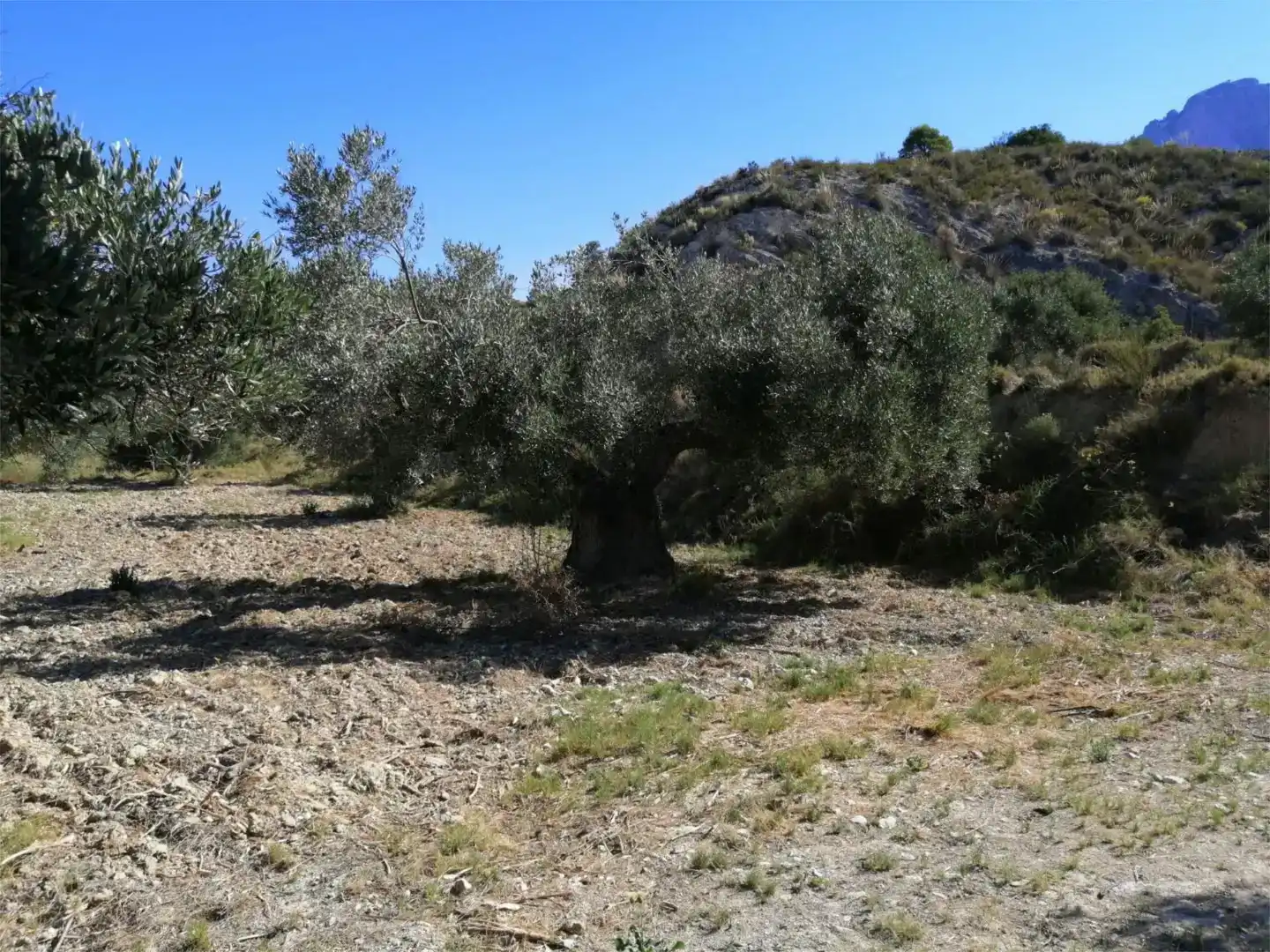 Terreno en venta en Busot