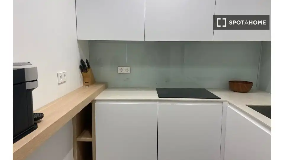 Pis de lloguer a Recoletos