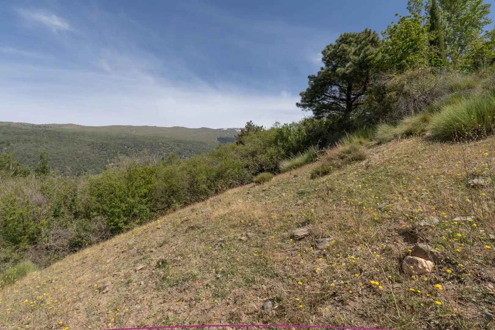 Terreno en venta en Soportújar