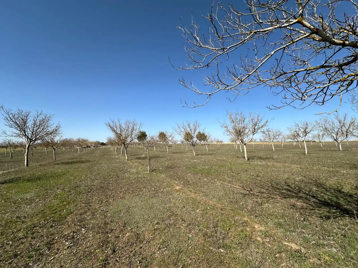 Houses for sale in Arlanzón  with Private garden