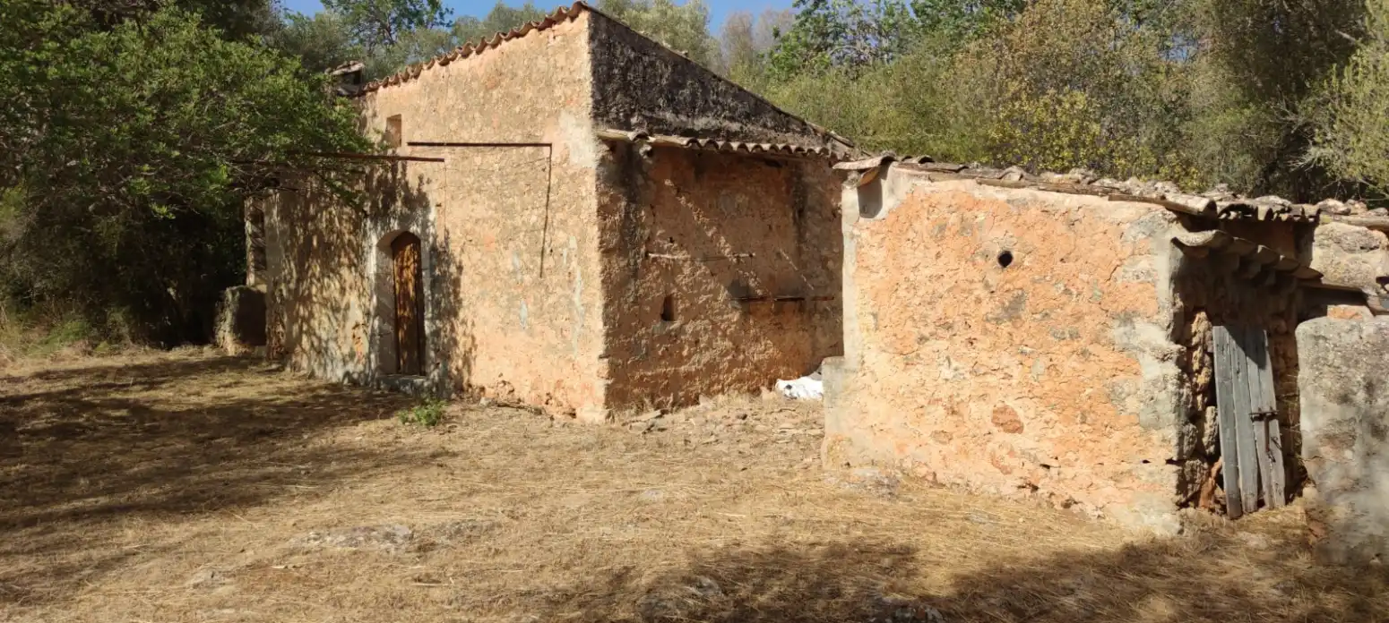 Rustikales Grundstück zum Verkauf in Llubí - Polígono 7, imagen 12