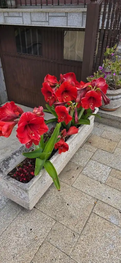 Vista exterior de Casa o xalet en venda en Vilagarcía de Arousa amb Calefacció, Jardí privat i Terrassa