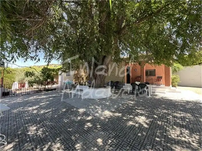 Terreni e lotti in vendita a Alcalá la Real, imagen 15