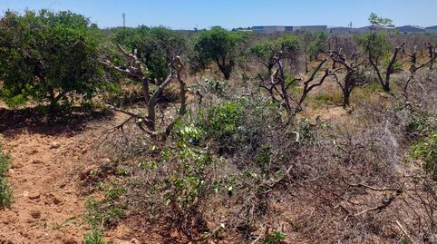 TERRENO ECONÓMICO RUSTICO A LA VENTA EN MONCADA.ZONA POLIGONO 3AUTOVIA A7., immagine 5