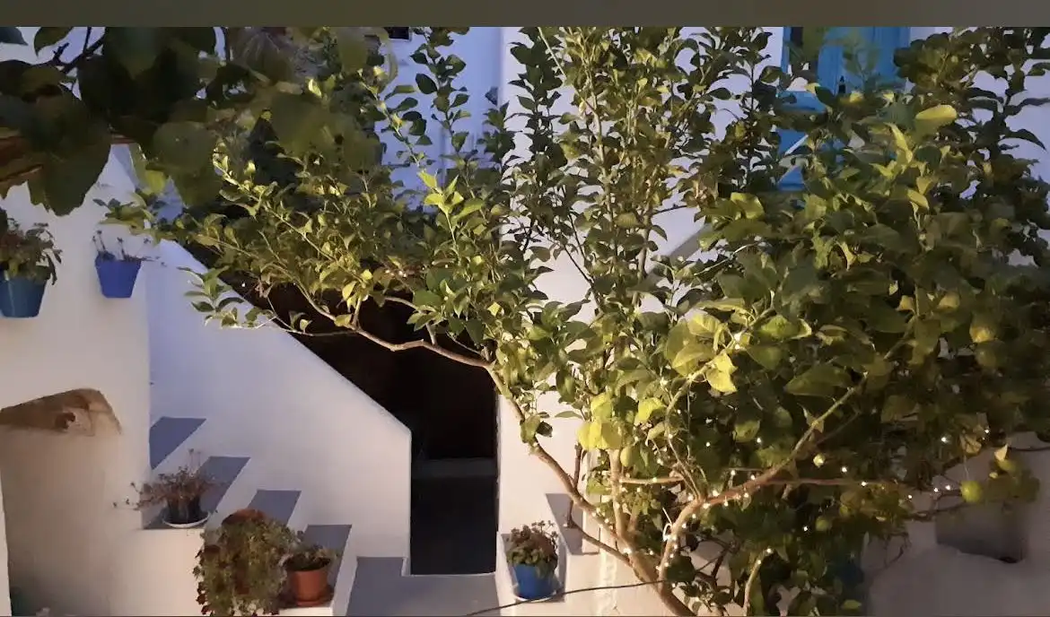 Terrassa de Apartament en venda en Vejer de la Frontera amb Terrassa i Traster