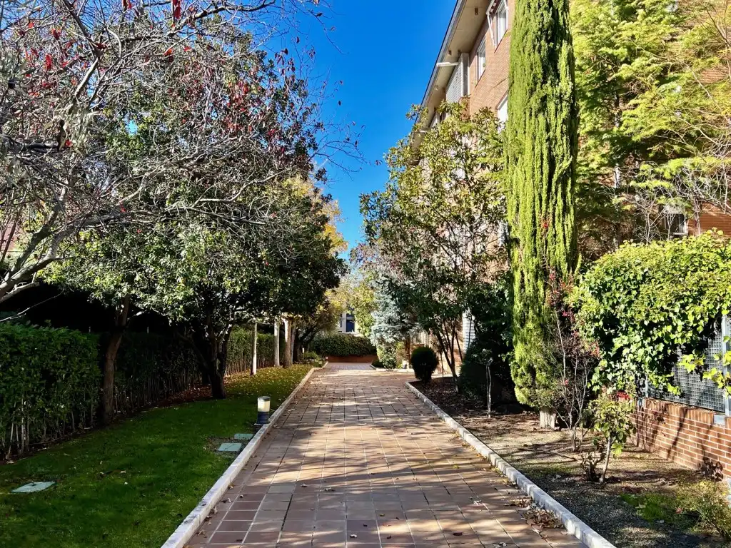 Vista exterior de Dúplex en venda en Las Rozas de Madrid