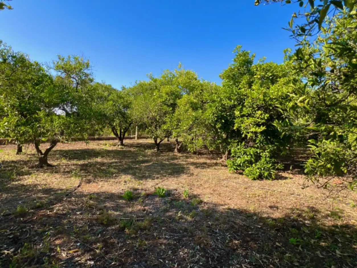 Country house for sale in Pedreguer, imagen 9