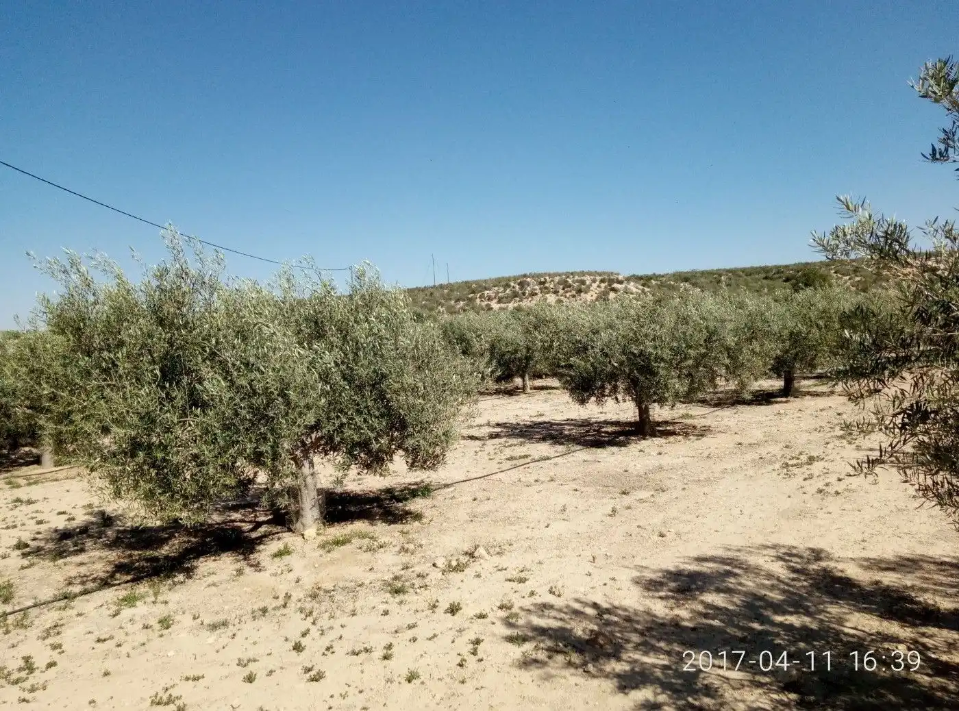 Terreny residencial en venda a Sierra de Carrascoy, imagen 6