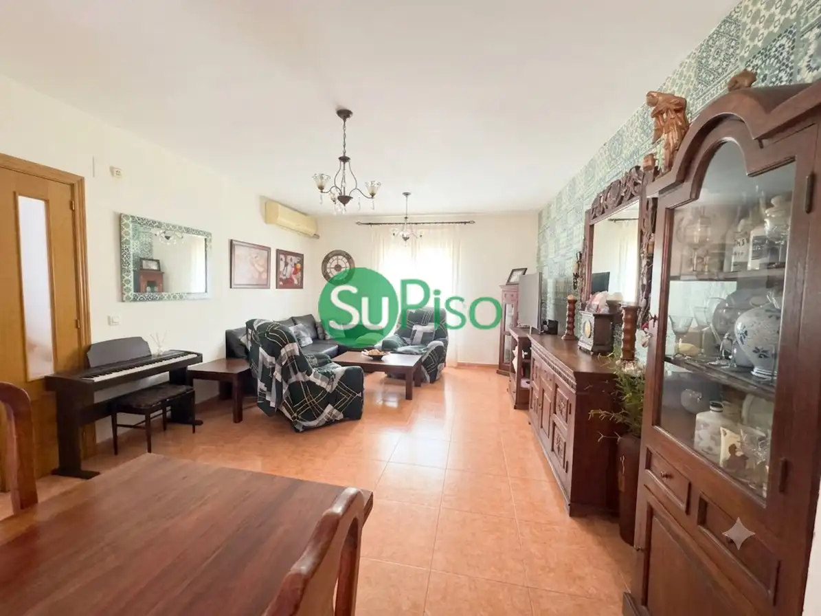 Chalet con jardín en venta en Avenida Rufino Rubio 14