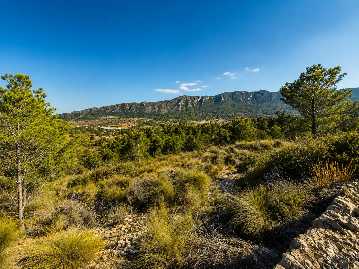 Vista exterior de Terreno en venta en La Romana