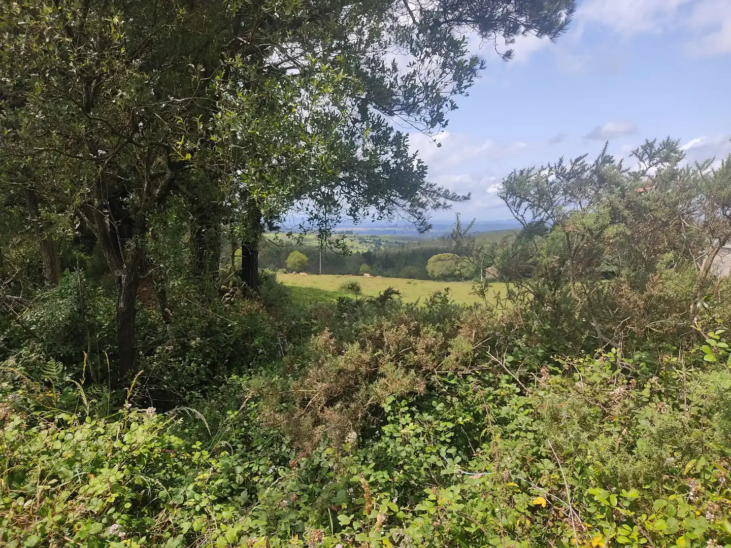 Casa o chalet en venta en San Xoán de Río con Jardín privado y Balcón