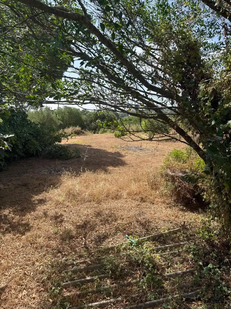 Casa o xalet en venda en Vejer de la Frontera amb Aire condicionat, Calefacció i Jardí privat