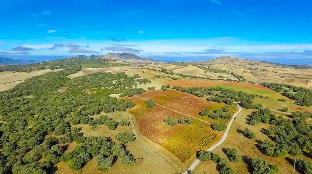 Maison rustique avec piscine à vendre à Partidas Norte, imagen 11