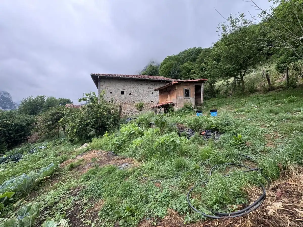 House for sale in Peñamellera Alta, imagen 10