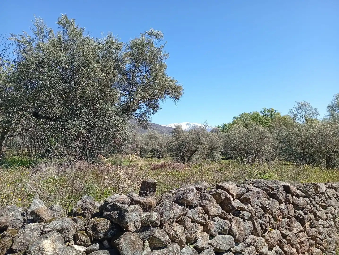 Terreni e lotti in vendita a Valverde de la Vera, imagen 81