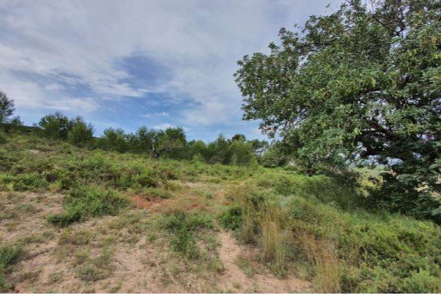 Terreno en Venta en Diseminado P030 en Santa Bárbara