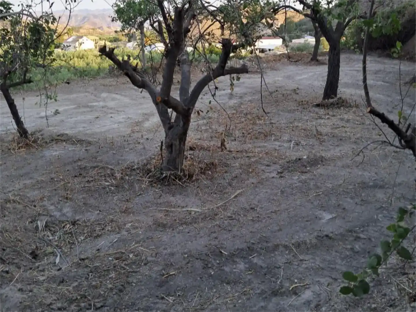 Planta baixa en venda en Partaloa amb Jardí privat