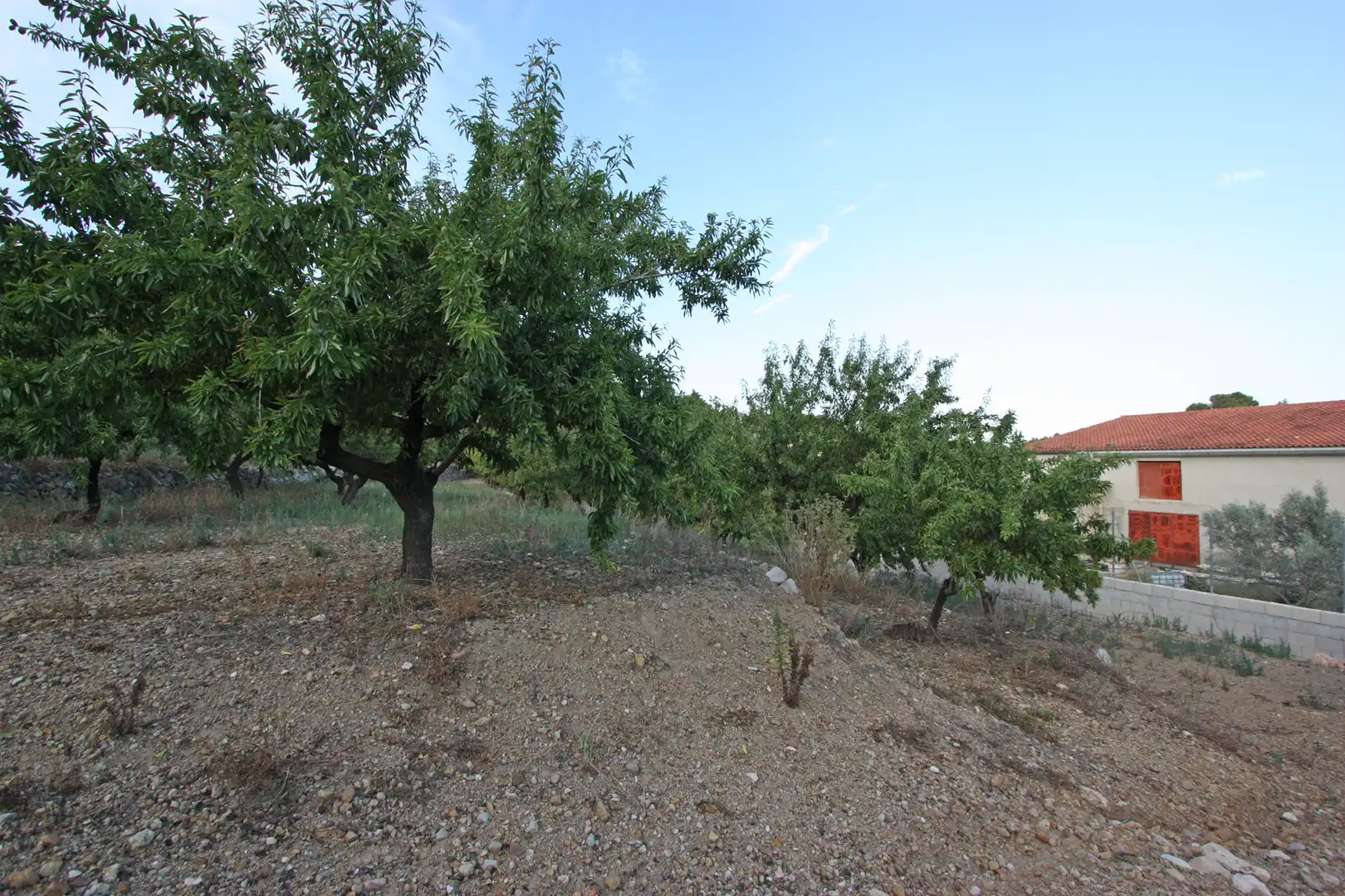 Finca rústica en venta en Murla