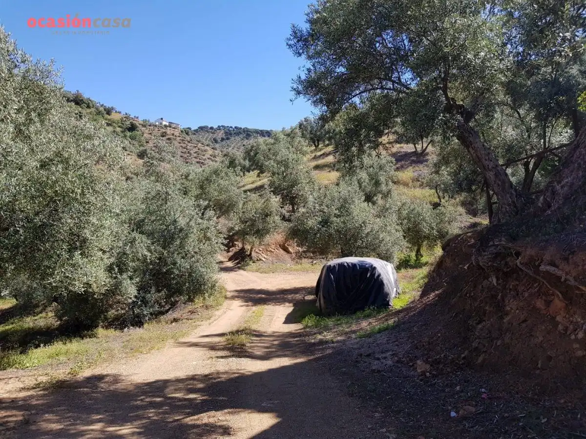Finca rústica en venta en Villanueva de Córdoba con Jardín privado, Trastero y Amueblado