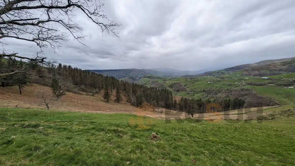 Finca rústica en venta en Selaya