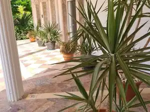 Villa mit Pool zum Verkauf in Villarrobledo, imagen 14