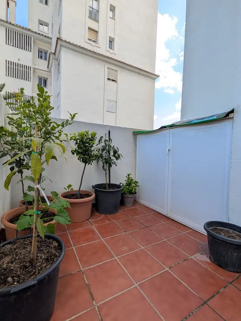 Rez-de-chaussée avec terrasse à vendre à Reina sofia 45, imagen 31