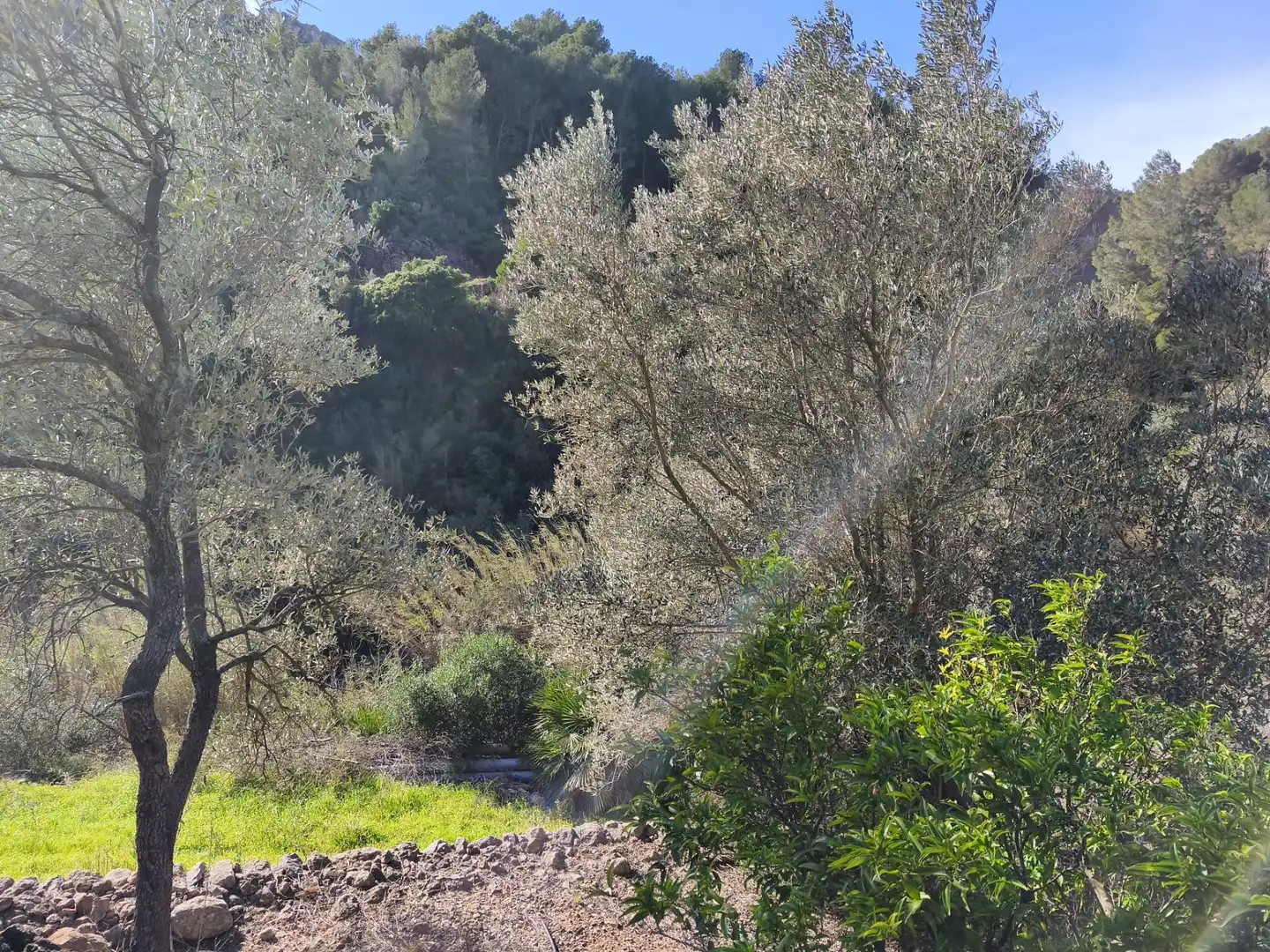 Casa con jardín en venta en Alfara de Carles, imagen 33