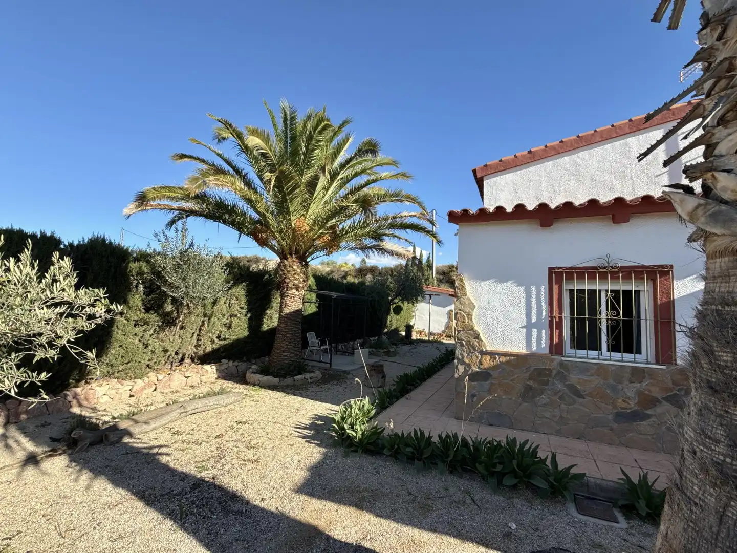 Jardín de Casa o chalet en venta en Novelda con Calefacción, Terraza y Piscina