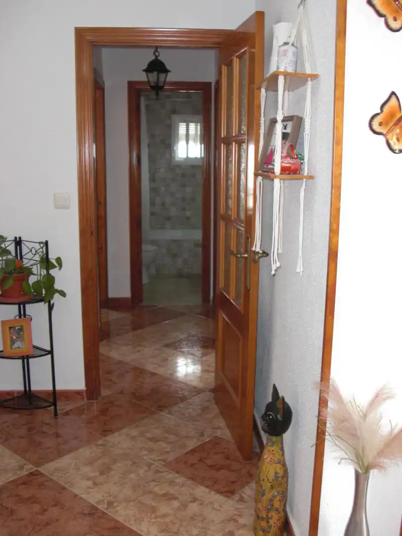 Appartamento con terrazza in affitto a Vejer, imagen 11