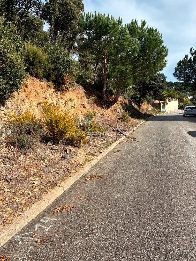 Terreno residencial en venta en Carrer Pollancre 43, imagen 6