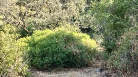 Foto 3 de Residencial en venta en Calle Teide, 92, Guillena pueblo, Guillena