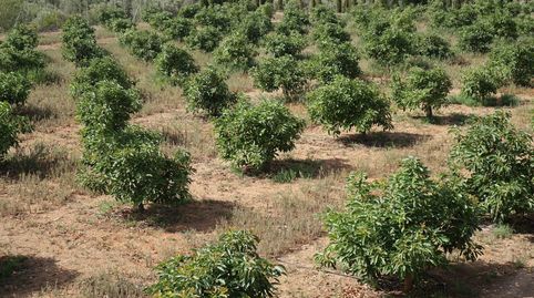Finca Rúst. en venta en Polígonos., immagine 4