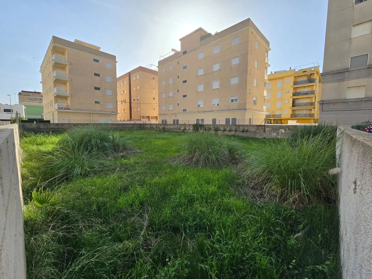 Terreni e lotti in vendita a Bellreguard