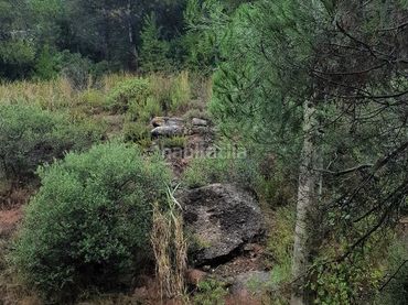 Terreni e lotti in vendita a Rellinars