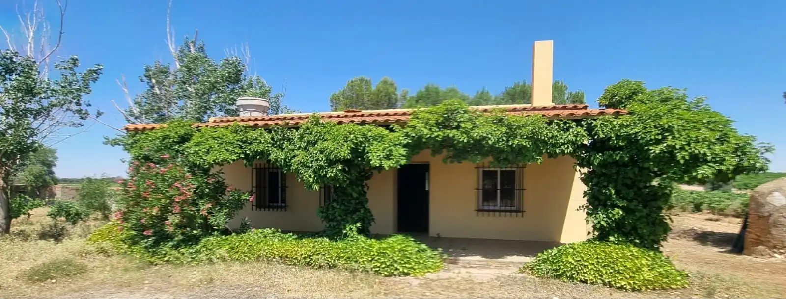 Casa rústica en venda a Villarrobledo, imagen 2