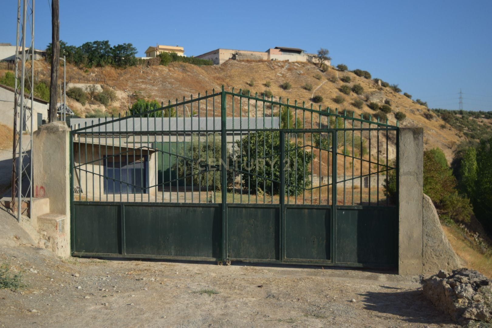 Terreny industrial en venda en Pinos Puente