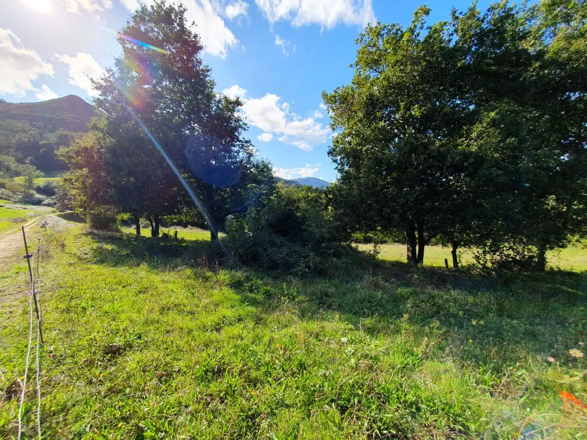Terrenos y solares en venta en Salas