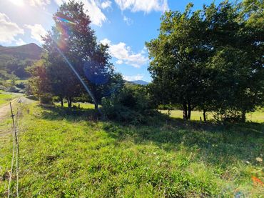 Terreno residenziale in vendita a Salas