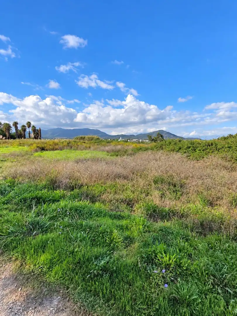 Rural land for sale in Polígono Sèquia de la Figuerola Dreta, imagen 23