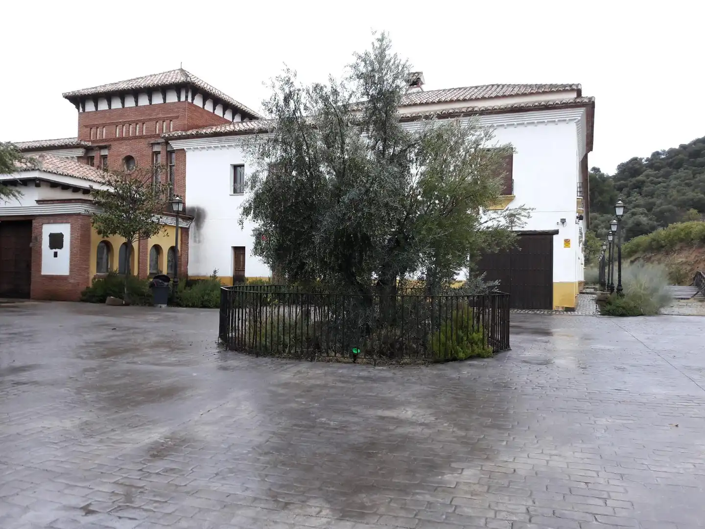 Inmuebles singulares con ascensor en venta en Diezma, imagen 30
