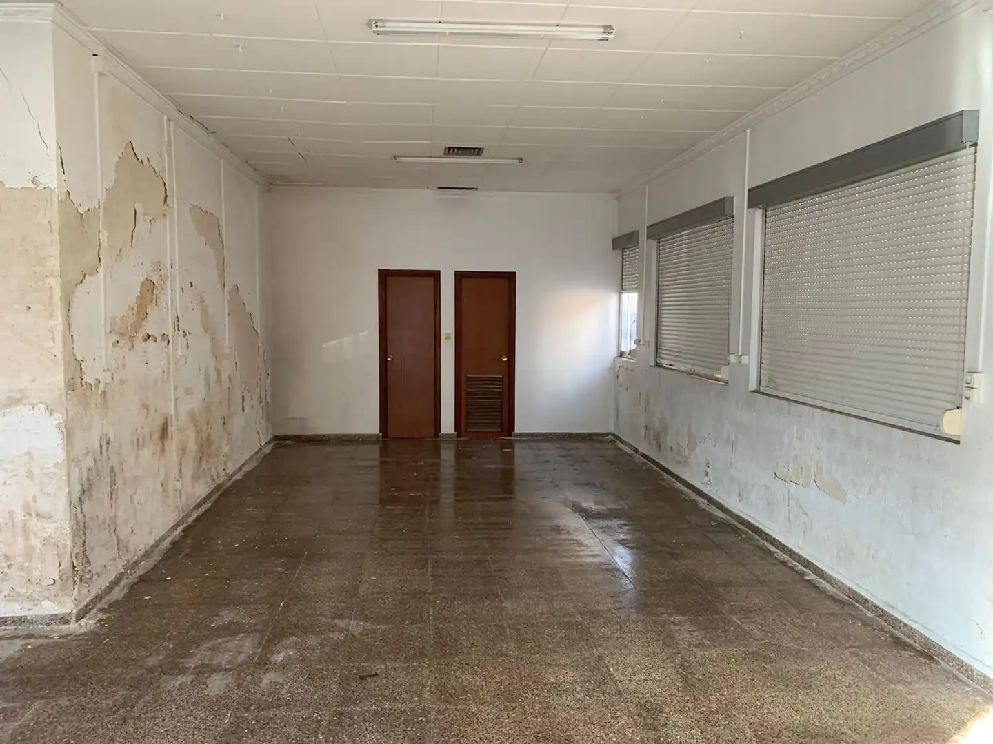 Commercial properties for sale in Almadén
