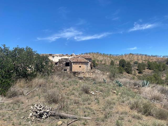 Terreno en Venta en Zarzalico