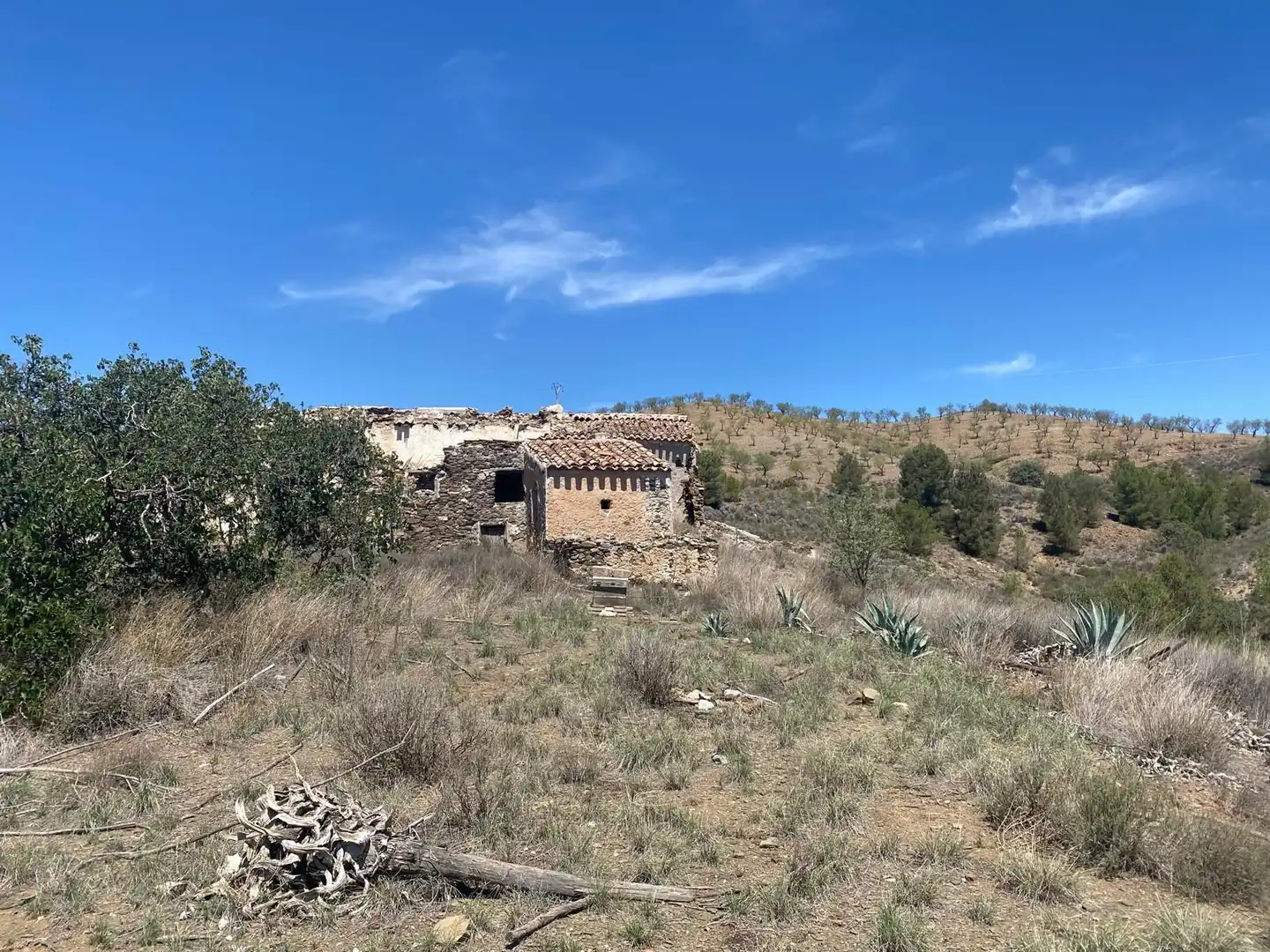 Terreno rustico in vendita a Pedanías Centro