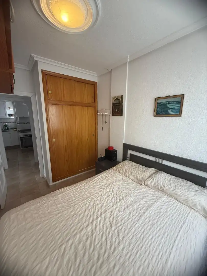 Penthouse zum Verkauf in Playa de los Locos, imagen 19