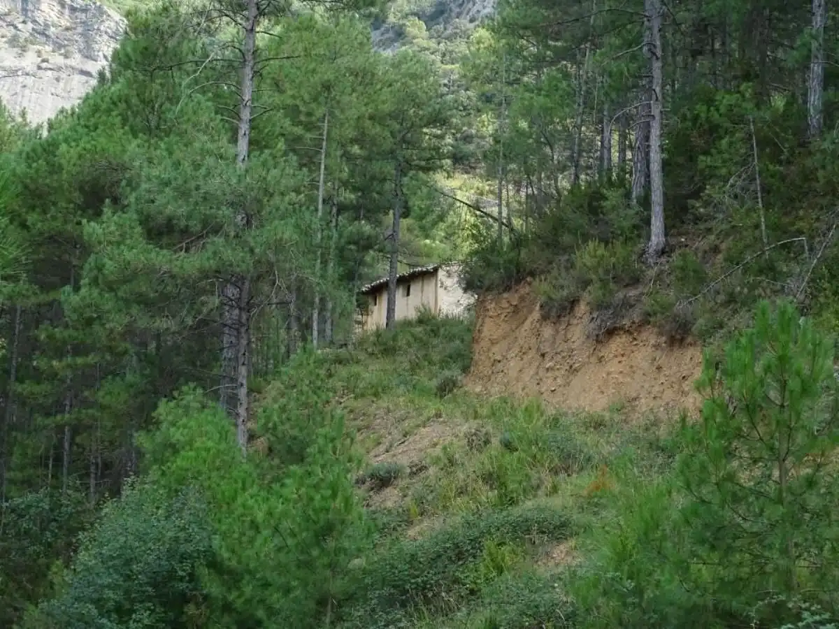 Vista exterior de Finca rústica en venta en Beceite