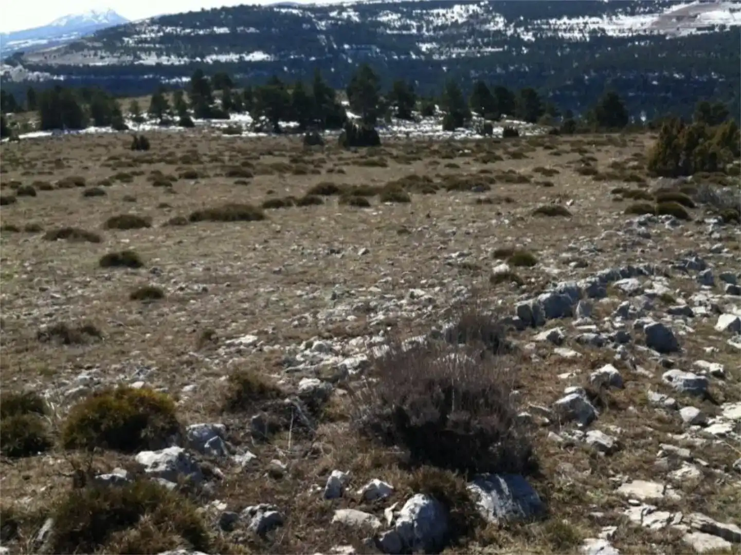 Terreno en venta en Mosqueruela